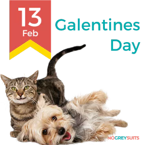 A graphic for Galentine's Day on February 13th featuring a tabby cat and a small dog, likely a Yorkshire Terrier, together. The cat is sitting upright with a playful expression and a raised tail, while the dog lies on its back in a relaxed posture with its tongue out. The background is a split design with the top half in dark red and the bottom in dark teal. On the left side, there's a yellow and red ribbon graphic with '13 Feb' in bold red text. On the right side, 'Galentines Day' is written in large white letters. The phrase 'NO GREY SUITS' is in smaller white text in the bottom right corner.