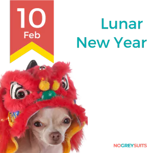 A graphic celebrating Lunar New Year on February 10th, depicting a Chihuahua wearing a colorful lion dance costume headpiece. The headpiece is primarily red with yellow, green, and blue accents, and has traditional Chinese decorative elements. The dog appears calm and is facing forward. The background is split diagonally with the top portion in black and the bottom in dark teal. To the left, a yellow and red ribbon displays '10 Feb' in large red text. On the right, the phrase 'Lunar New Year' is written in large white letters. In the bottom right corner, the text 'NO GREY SUITS' is included in white font