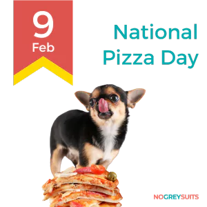 A graphic celebrating National Pizza Day on February 9th. The image features a Chihuahua in the foreground licking its nose with visible enjoyment. The dog is standing on top of a stack of pizza slices with various toppings. The background is black at the top and transitions to a dark teal at the bottom. On the left side, there is a yellow ribbon design with the date '9 Feb' in a large red font. On the right side, the text 'National Pizza Day' is displayed in large white letters. In the bottom right corner, there is a small white text that reads 'NO GREY SUITS'.