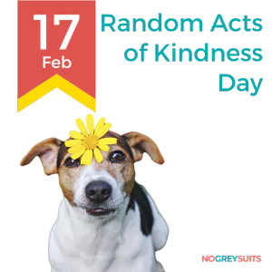 A heartwarming graphic for Random Acts of Kindness Day on February 17th, featuring a dog with a white coat and brown patches, possibly a Jack Russell Terrier. The dog has bright, attentive eyes and a black nose, with one ear flopped down and the other standing up. A cheerful yellow daisy is placed atop the dog's head. The background is divided with a dark red upper section and a dark teal lower section. A yellow and red ribbon on the left side includes '17 Feb' in bold red text. The text 'Random Acts of Kindness Day' is written in large white letters to the right. The logo 'NO GREY SUITS' is subtly included in the bottom right corner in white font