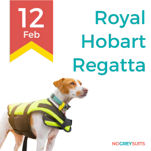A graphic for the Royal Hobart Regatta on February 12th, featuring a side profile of a dog, possibly a Jack Russell Terrier, wearing a bright yellow life jacket with gray straps. The dog is looking to the left with attention and has a black collar with a tag. The background is a two-tone design with the top half in a dark red shade transitioning to a dark teal at the bottom. To the left, there's a yellow and red ribbon shape with the date '12 Feb' in a large red font. The words 'Royal Hobart Regatta' are written in large white text to the right. The bottom right corner has the inscription 'NO GREY SUITS' in small white lettering