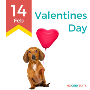 A Valentine's Day graphic for February 14th, showing a brown dachshund sitting upright. The dog has a shiny coat, floppy ears, and is looking directly at the viewer with a soft expression. It holds a red leash in its mouth, which extends up to a red heart-shaped balloon floating above. The background is split with the top half in a dark red color and the bottom half in dark teal. On the left, there is a yellow and red ribbon graphic with the date '14 Feb' in bold red font. The words 'Valentines Day' are written to the right in large white letters. In the bottom right corner, the phrase 'NO GREY SUITS' is written in small white text