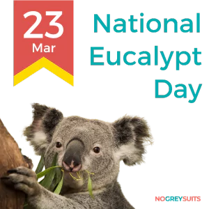 A graphic for National Eucalypt Day on March 23rd, showcasing a koala as it grips a tree branch and munches on eucalyptus leaves. The koala has a soft gray coat, distinctive large ears, and a slightly quizzical expression on its face. The background consists of a dark red upper portion transitioning to dark teal on the lower portion. A yellow and red ribbon to the left displays the date '23 Mar' in bold red text. The event name 'National Eucalypt Day' is written in white, large letters to the right. The slogan 'NO GREY SUITS' is placed in small white text at the bottom right corner of the image