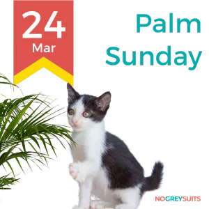 A graphic observing Palm Sunday on March 24th, featuring a black and white kitten. The kitten is sitting with its body facing the left and its head turned to make eye contact with the viewer. It is positioned next to a frond of a palm, evoking the theme of the day. The background is split with a dark red upper section and a dark teal lower section. A yellow and red ribbon on the left displays '24 Mar' in large red font. 'Palm Sunday' is written in large white letters to the right. The logo 'NO GREY SUITS' is included in small white text at the bottom right corner of the image