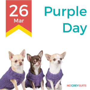 A graphic celebrating Purple Day on March 26th, showcasing three Chihuahuas wearing cozy purple sweaters. The dogs are varying in color; from left to right, a cream-colored, a chocolate brown, and a white Chihuahua. They are sitting closely together, each looking in a different direction with attentive expressions. The background is divided with a dark red section on top, shifting to dark teal on the bottom. A yellow and red ribbon on the left side displays '26 Mar' in bold red font. 'Purple Day' is written in large white letters to the right. In the bottom right corner, 'NO GREY SUITS' is printed in small white text